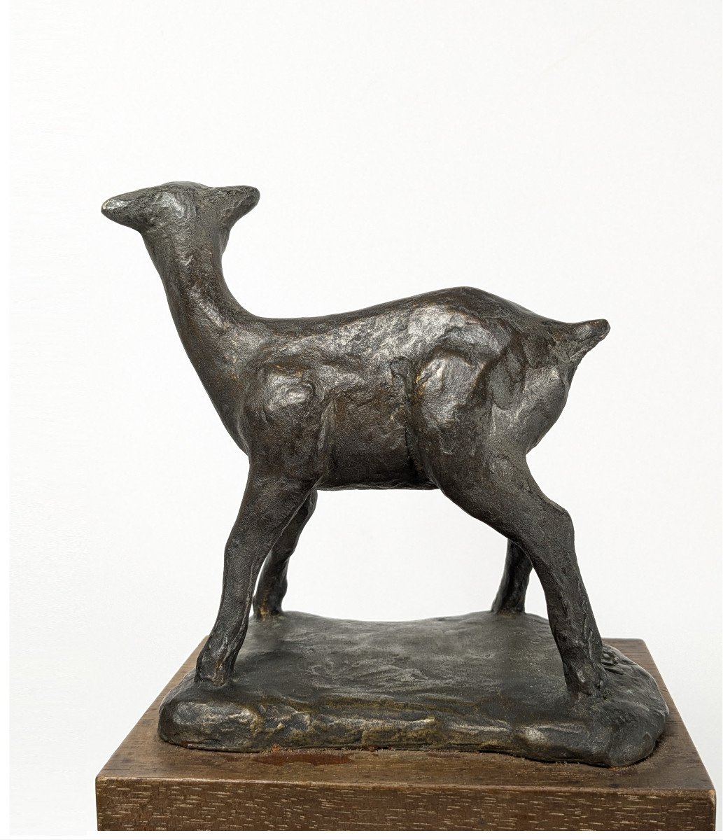 The Fawn, Bronze By Kenjiro Shirai, Circa 1950-60 #633-photo-4