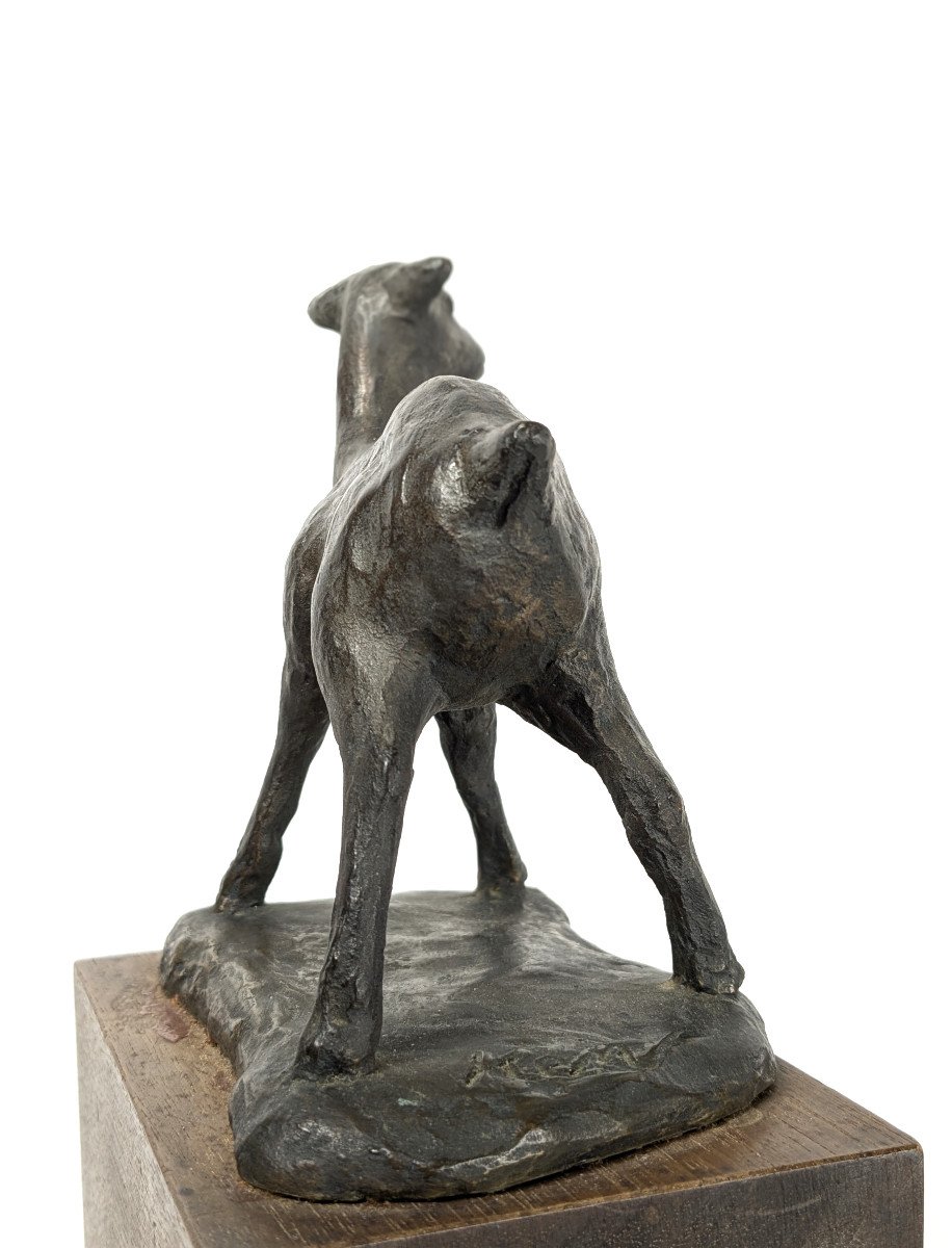 The Fawn, Bronze By Kenjiro Shirai, Circa 1950-60 #633-photo-5