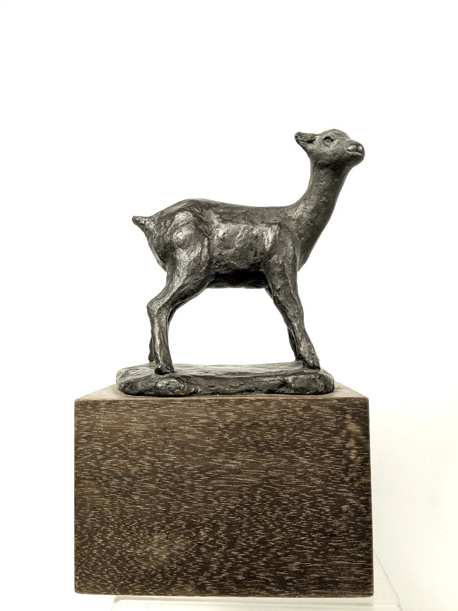 The Fawn, Bronze By Kenjiro Shirai, Circa 1950-60 #633