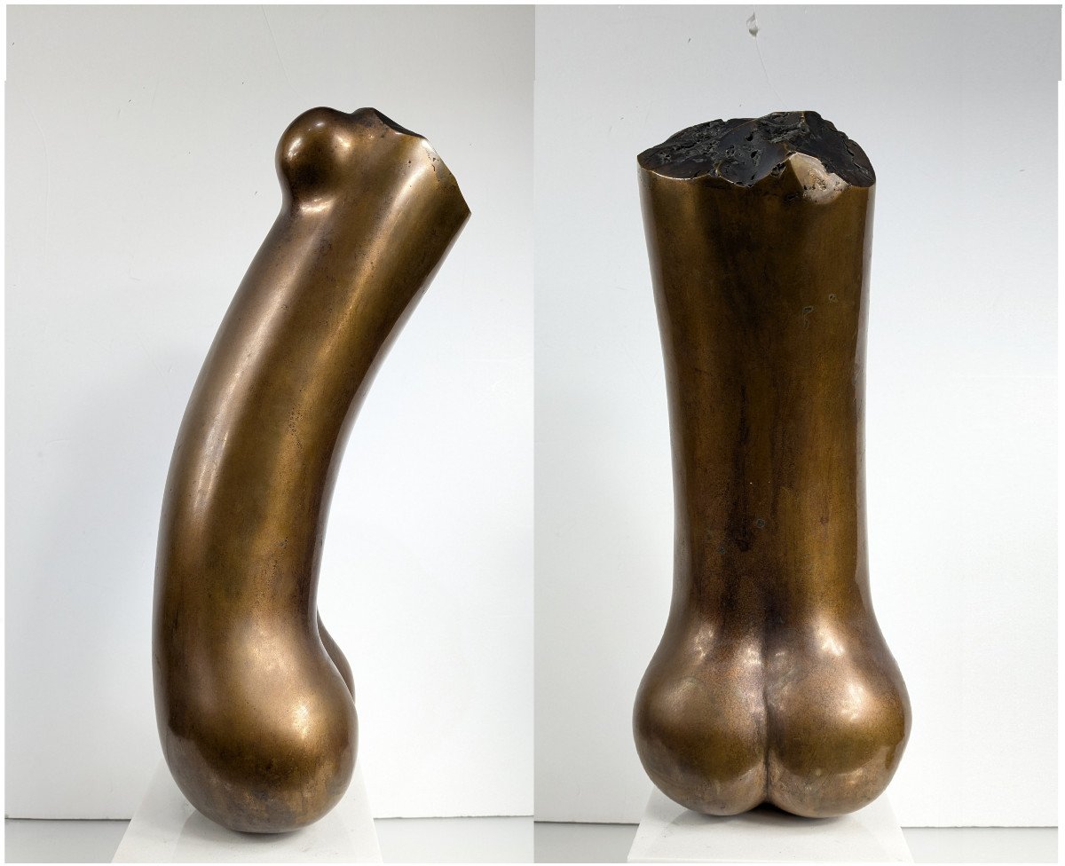 Hermaphrodite - Bronze By Sergio Castillo Mandiola (chile 1925 - 2010) #682-photo-2