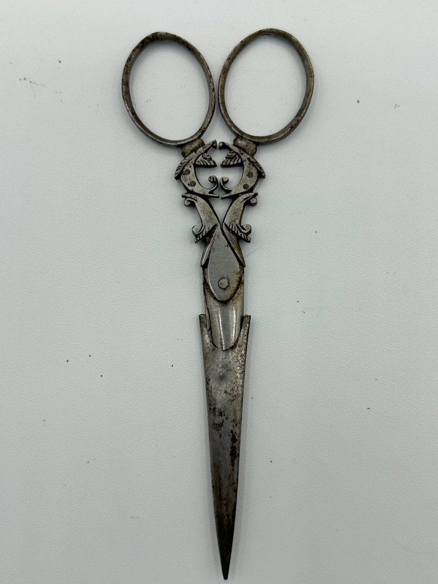 Iron Scissors-photo-1