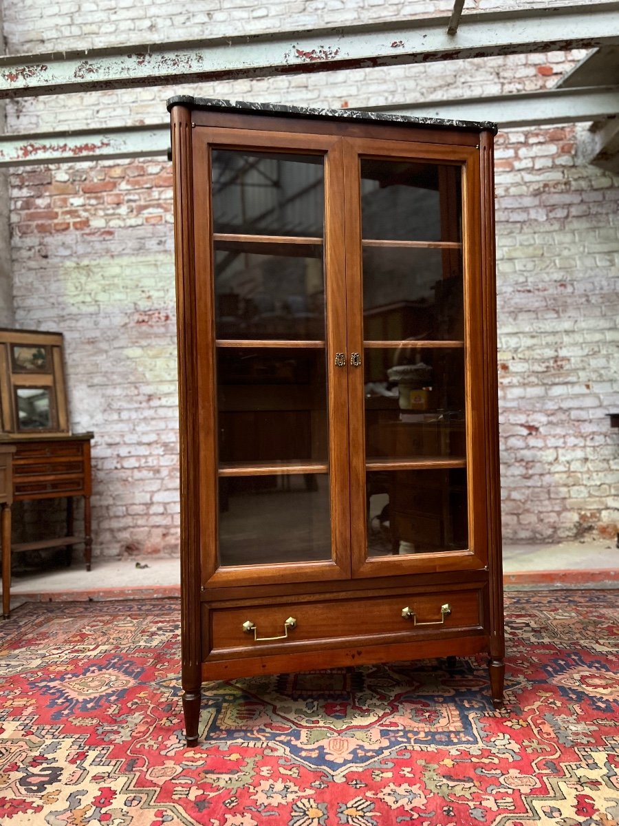 Mahogany Showcase Louis XVI Style XIX Eme Century