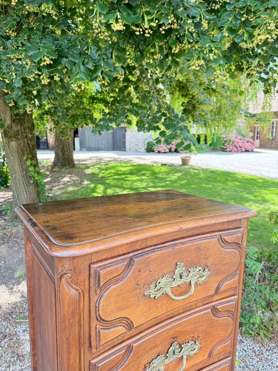 Chiffonier In Walnut Regency Style 19th Century -photo-3