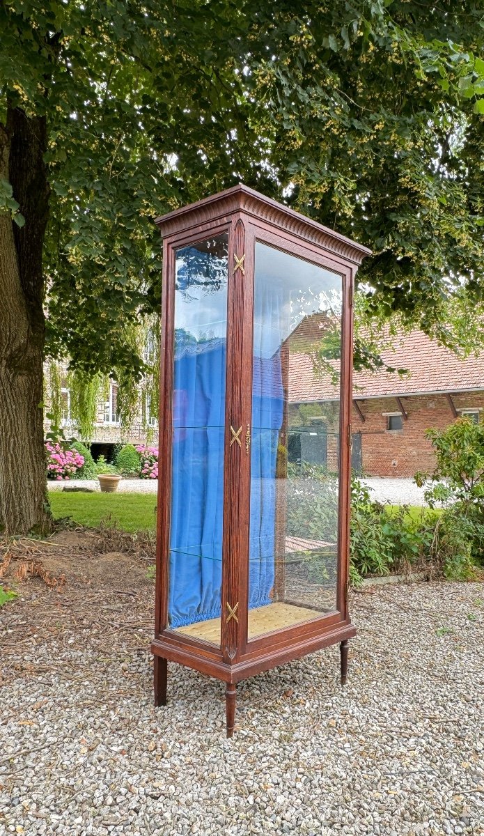 Louis XVI Style Oak Showcase Circa 1900-photo-2