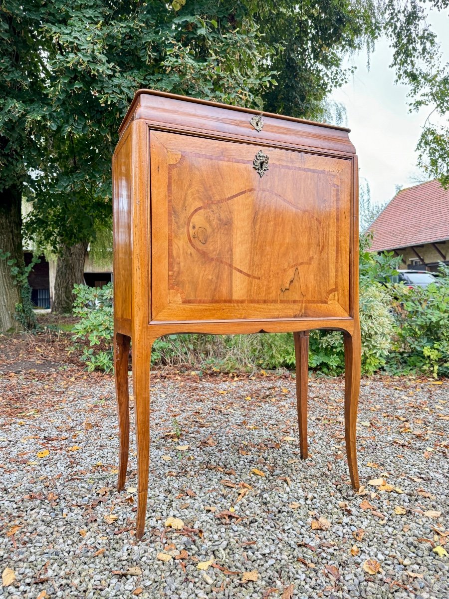 Louis XV Style Walnut Cabinet Secretary