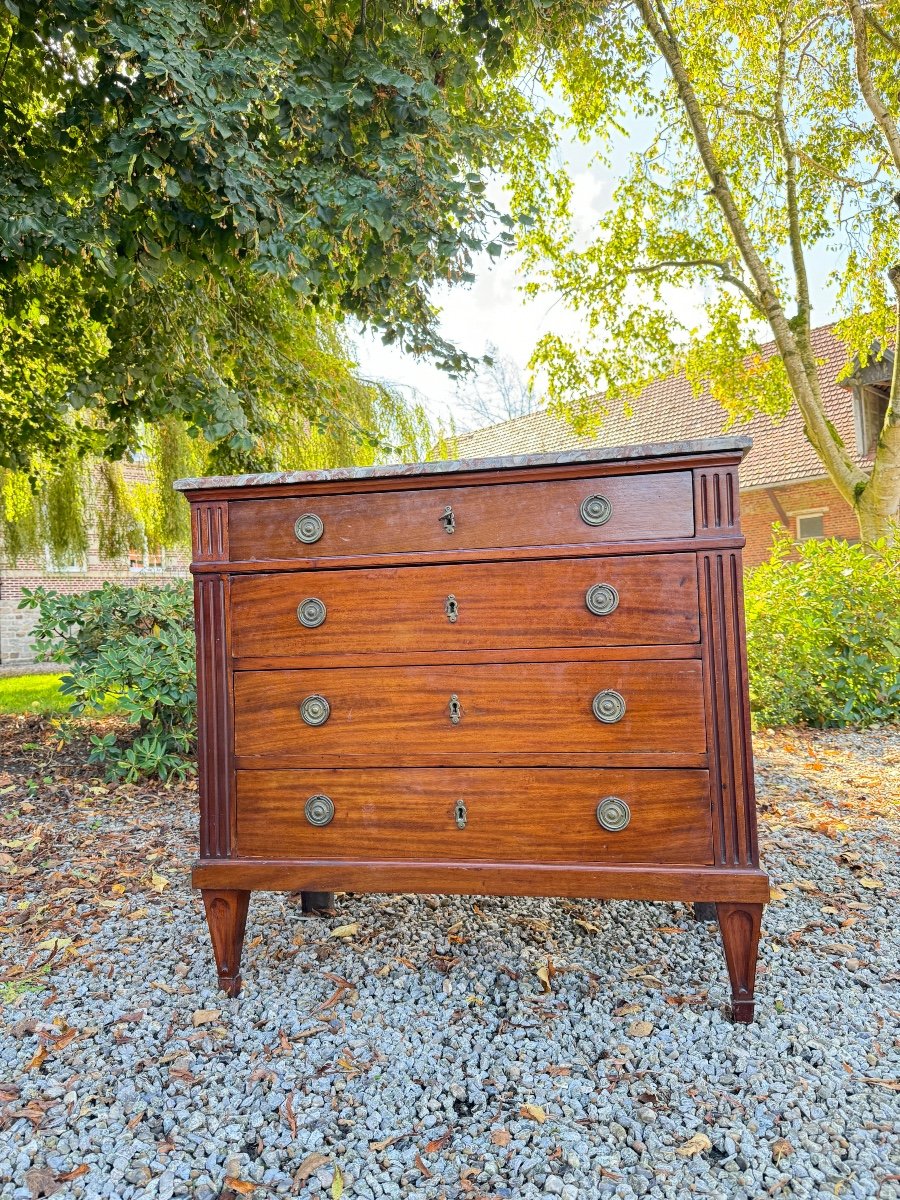 Louis XVI Style Mahogany Chest Of Drawers, 19th Century -photo-2