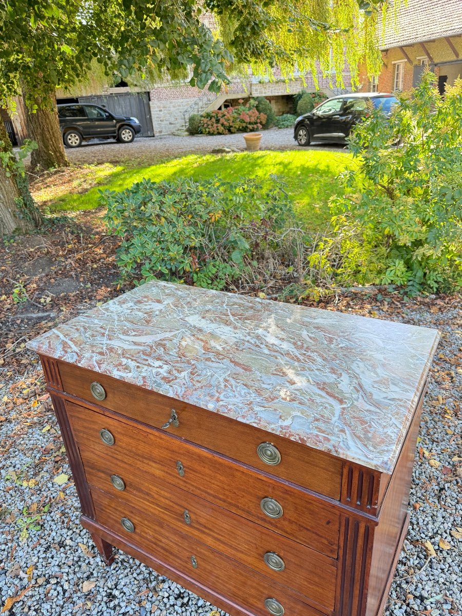 Louis XVI Style Mahogany Chest Of Drawers, 19th Century -photo-3