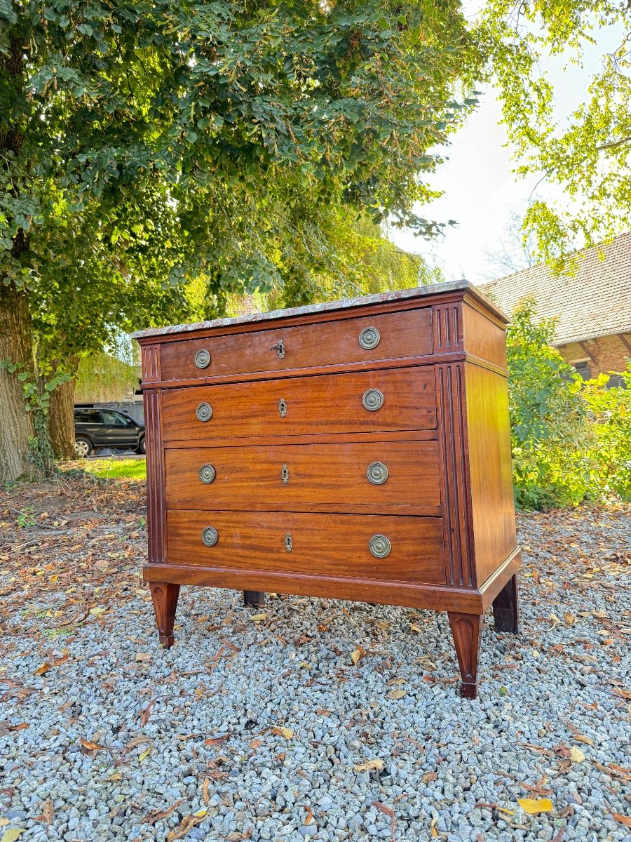 Louis XVI Style Mahogany Chest Of Drawers, 19th Century -photo-4