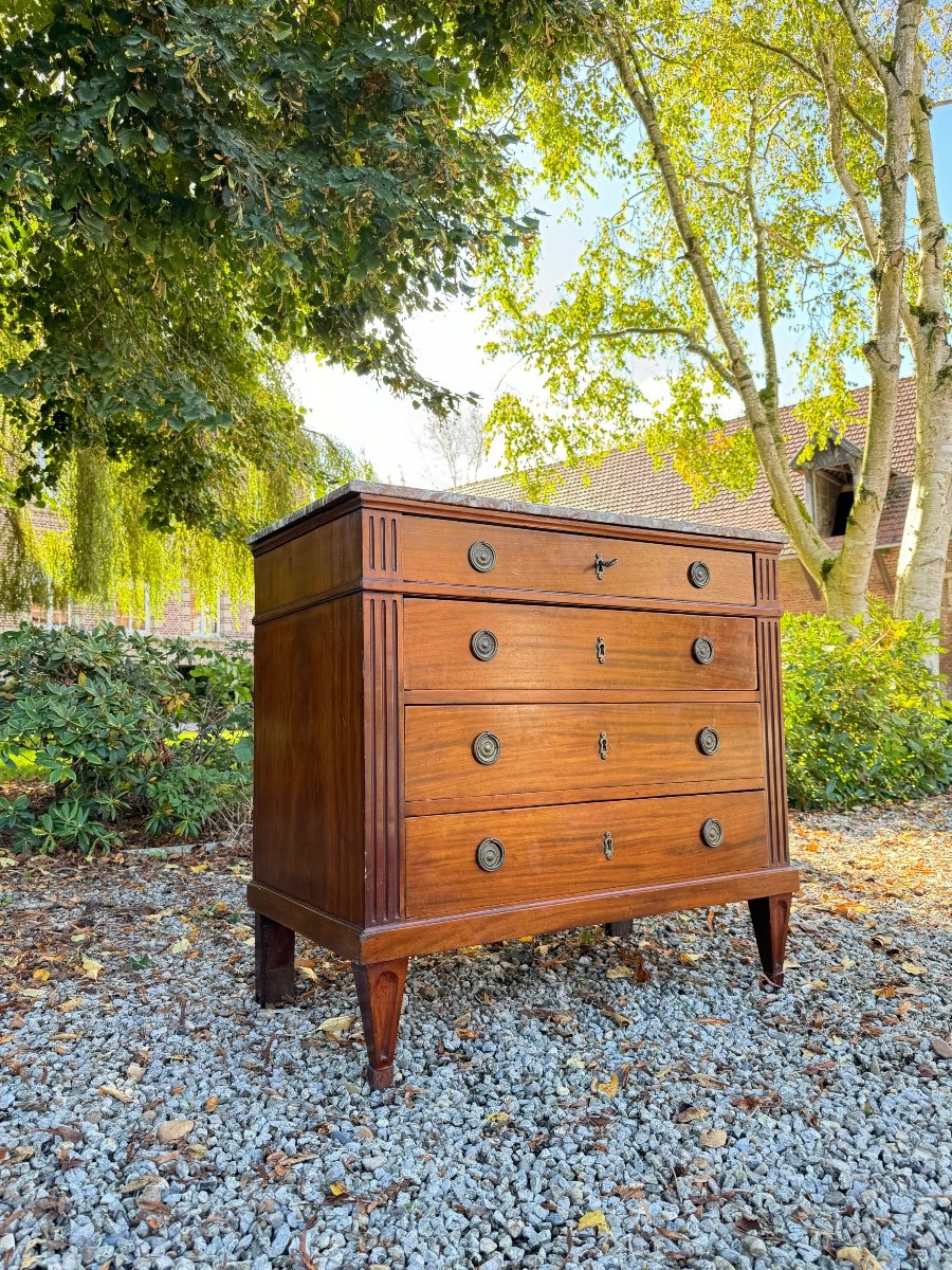 Louis XVI Style Mahogany Chest Of Drawers, 19th Century -photo-2