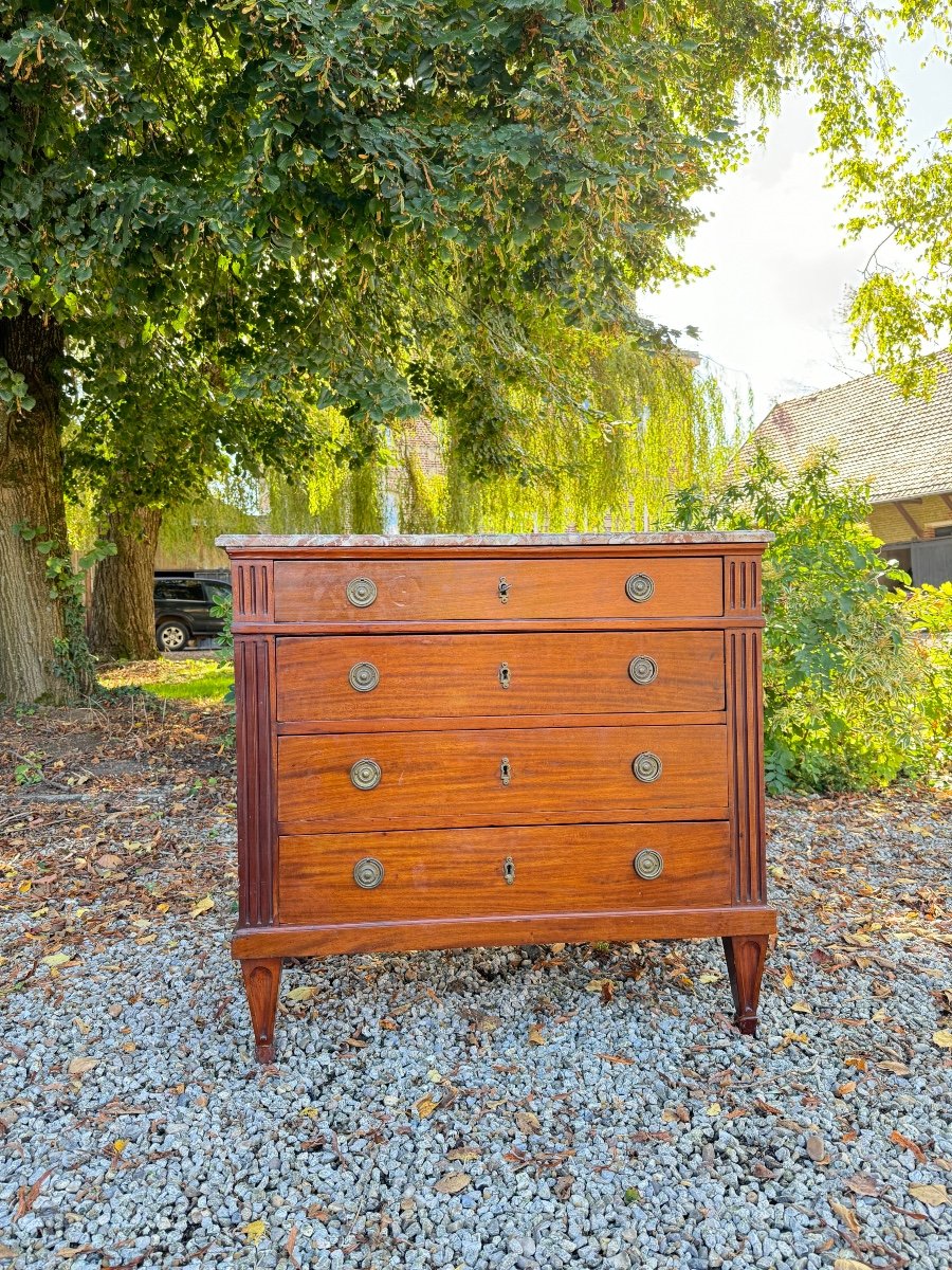 Louis XVI Style Mahogany Chest Of Drawers, 19th Century -photo-3