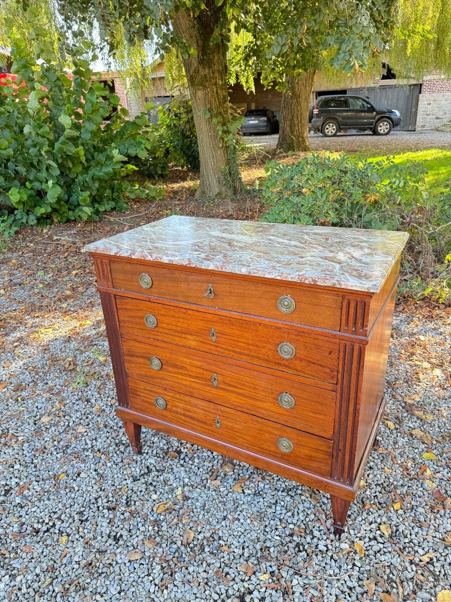 Louis XVI Style Mahogany Chest Of Drawers, 19th Century -photo-4