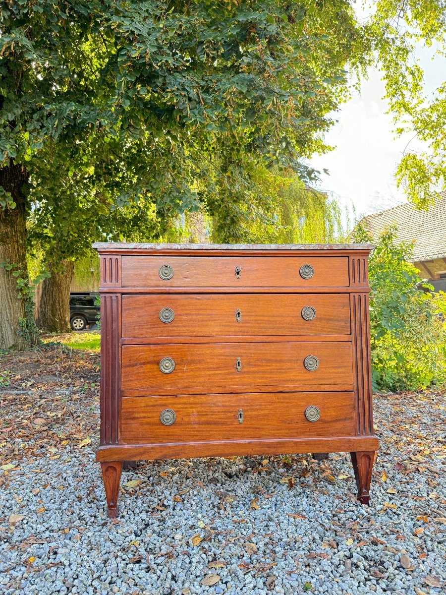 Louis XVI Style Mahogany Chest Of Drawers, 19th Century 