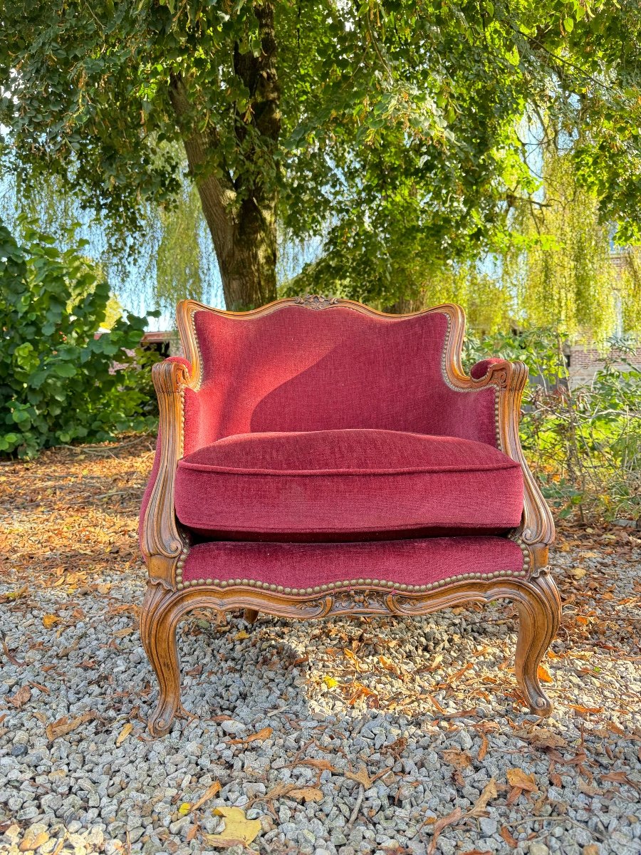 Pair Of Louis XV Style Walnut Bergeres, 19th Century -photo-6