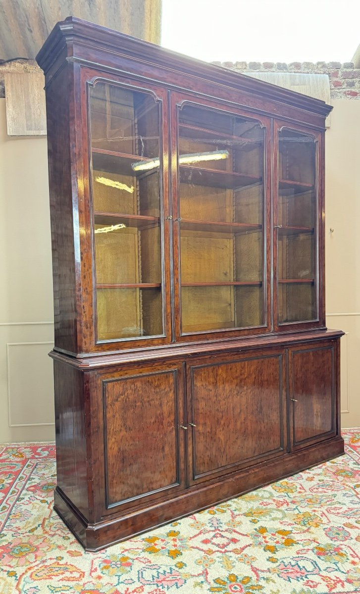 Large Speckled Mahogany Bookcase From The Napoleon III Period, 19th Century -photo-6