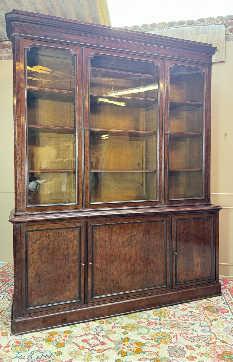 Large Speckled Mahogany Bookcase From The Napoleon III Period, 19th Century -photo-7