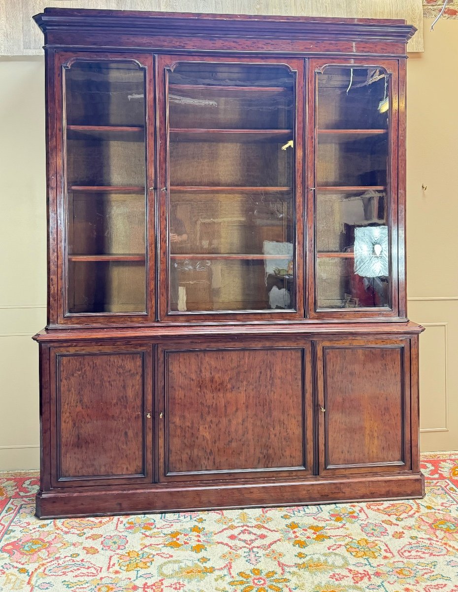 Large Speckled Mahogany Bookcase From The Napoleon III Period, 19th Century 