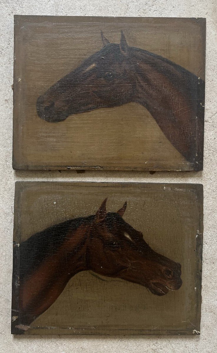 Two Portraits Of Thoroughbred Horses - French Or English School Of The XIXth Century - Oil On Panel