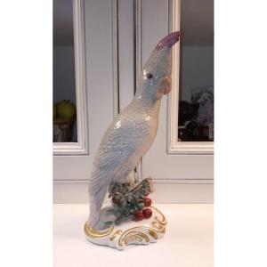 Cacatoès En Porcelaine De Paris 