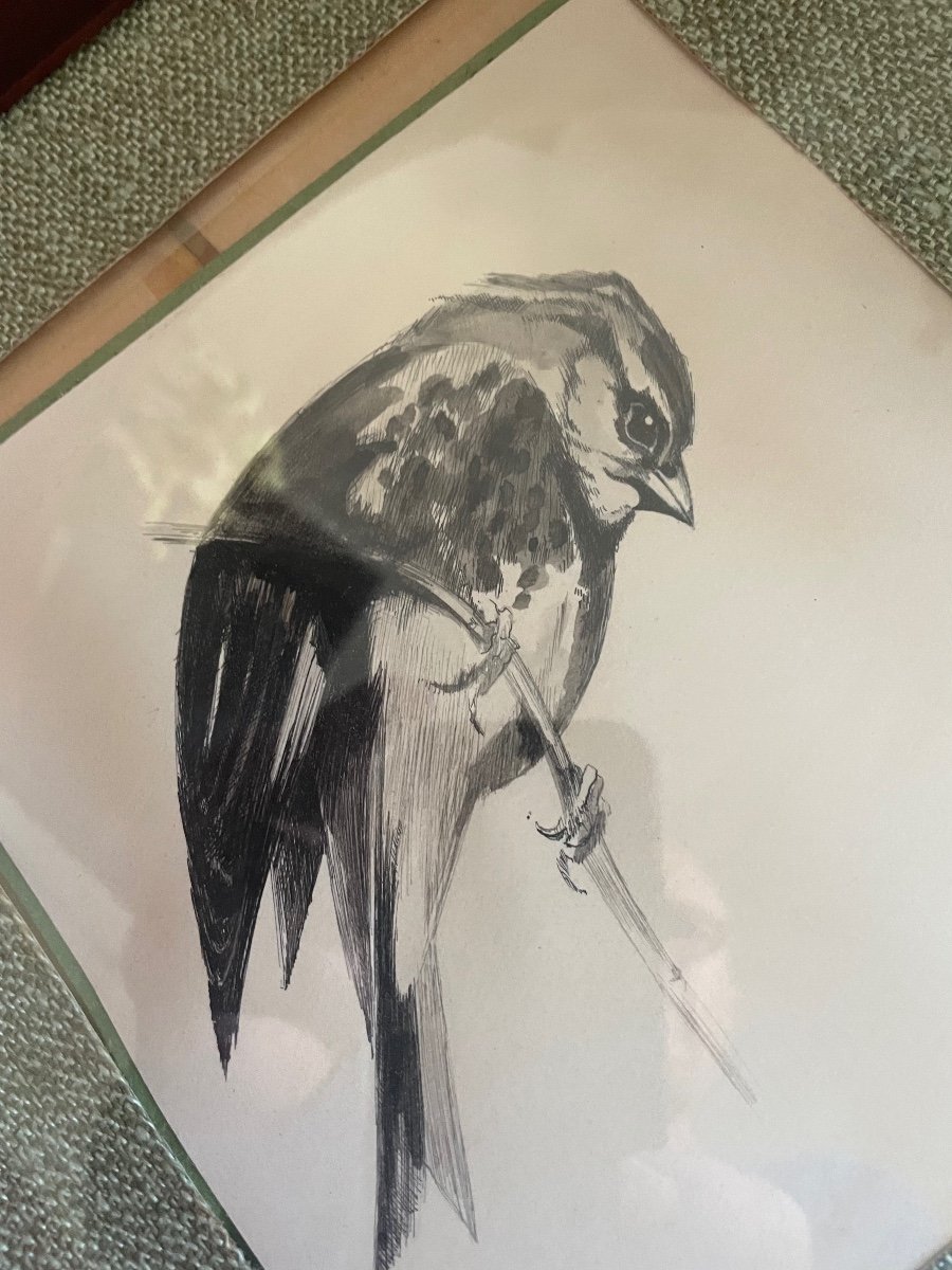 Drawing Ink: The Sparrow-photo-2