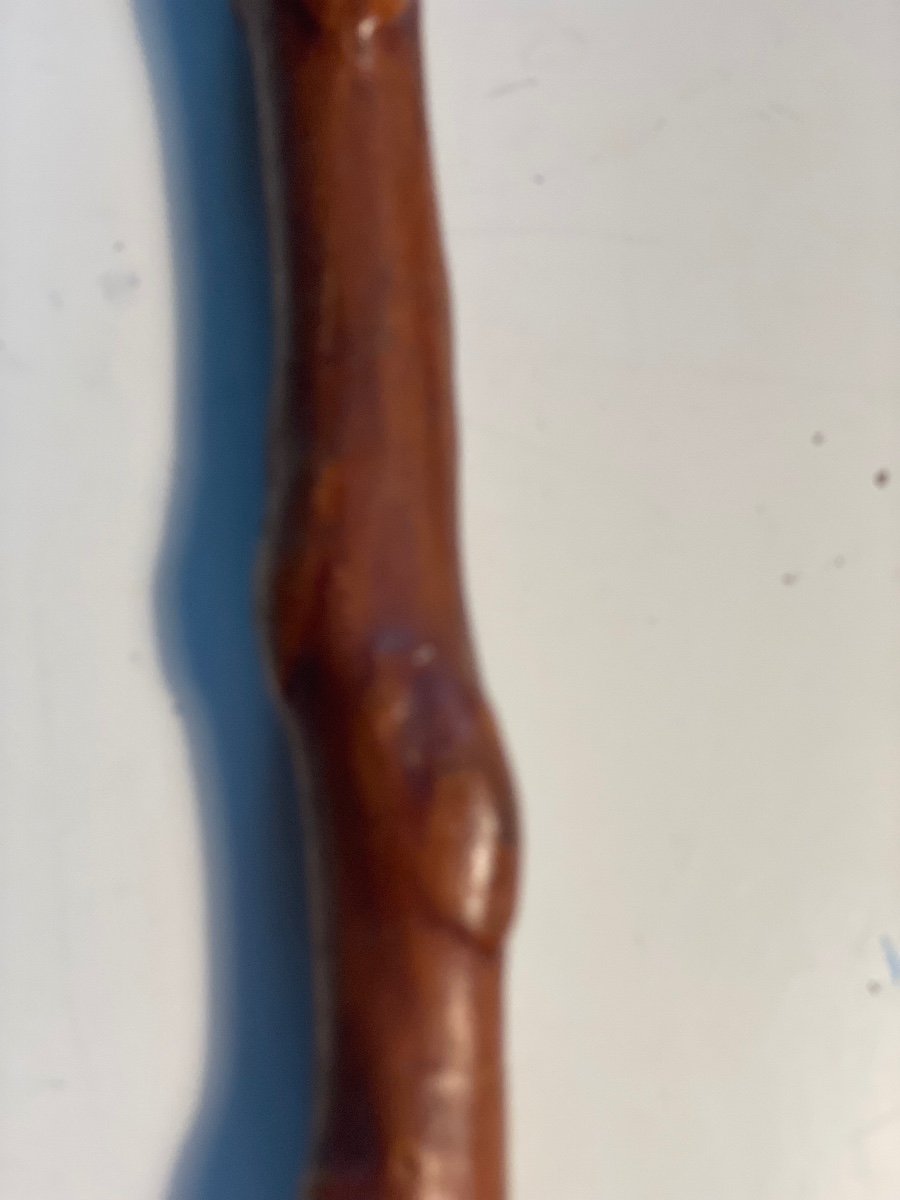 Medlar And Bone Cane-photo-5