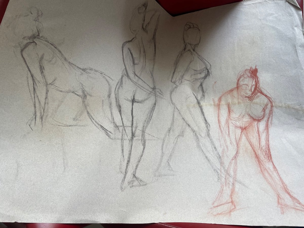 Drawing Study Of Women 