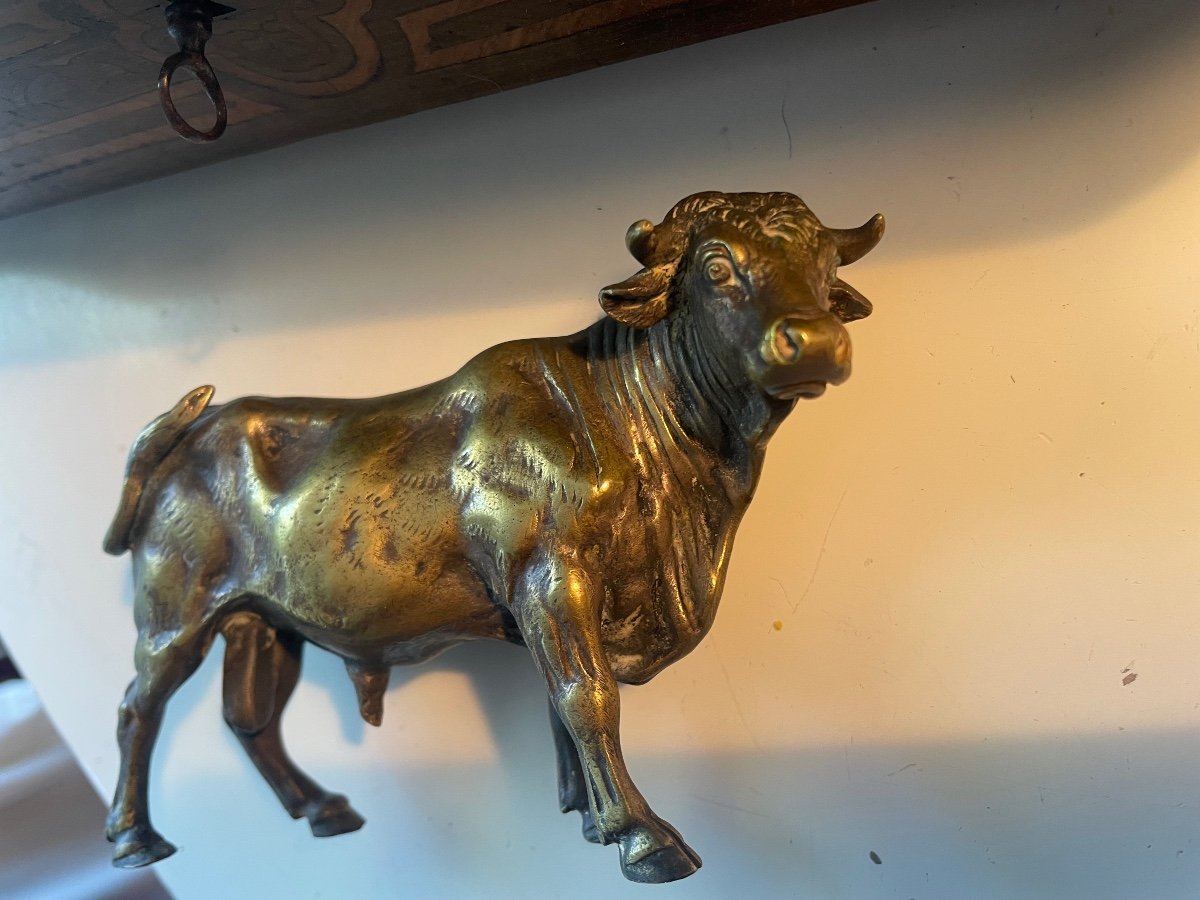 Bronze Bull -photo-2