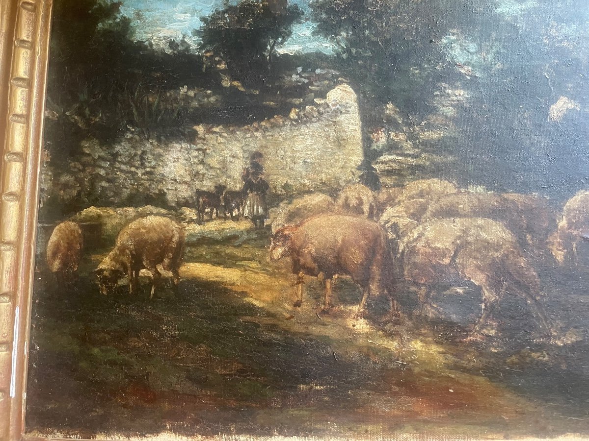 Moutons Et Bergère -photo-1