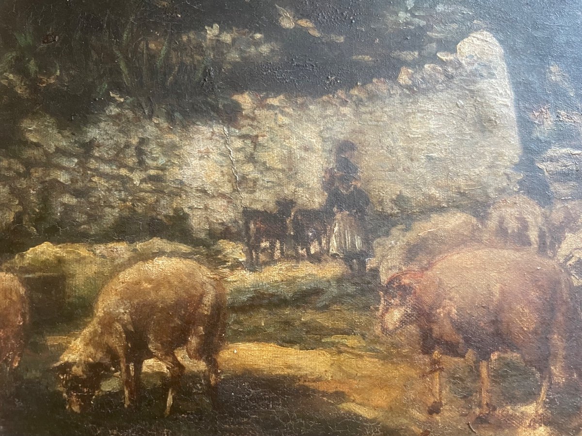 Moutons Et Bergère -photo-6