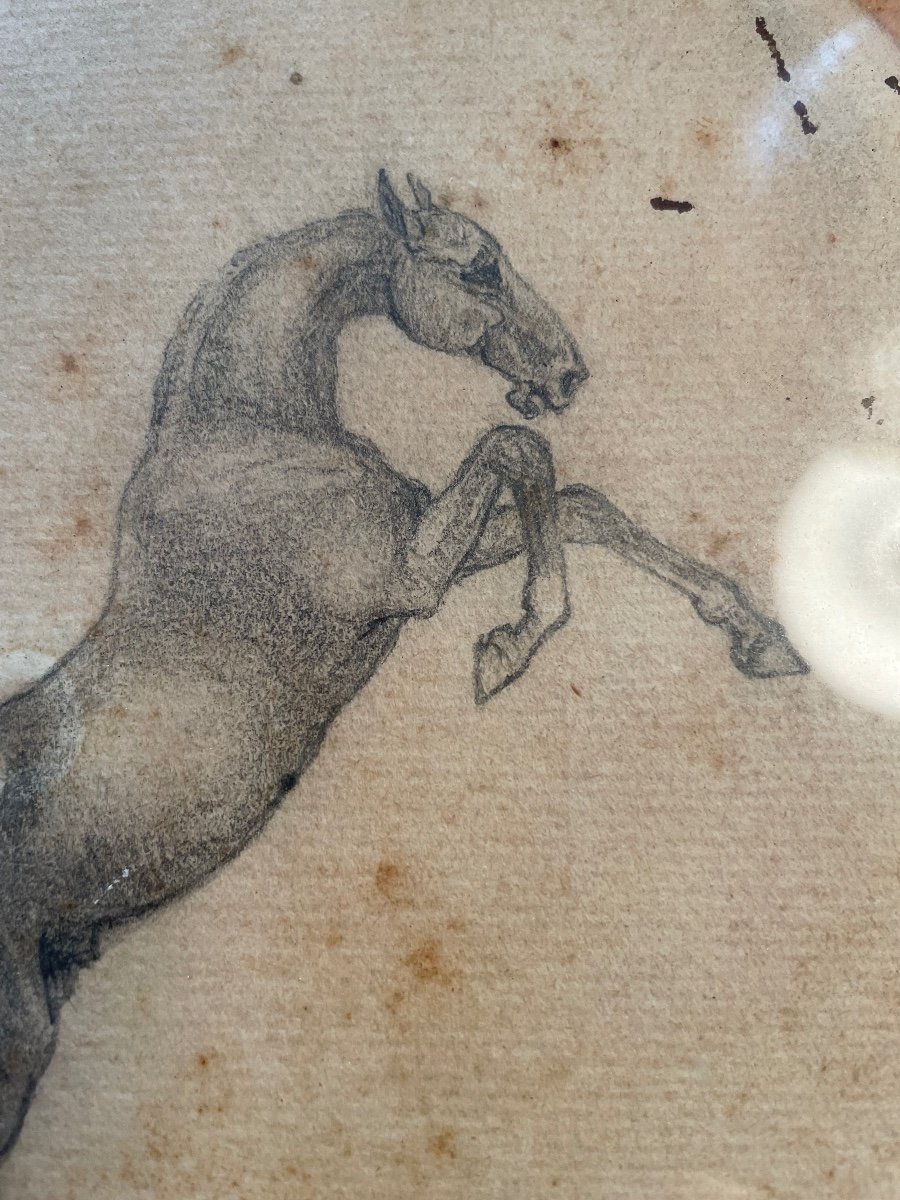 Prancing Horse Drawing -photo-6