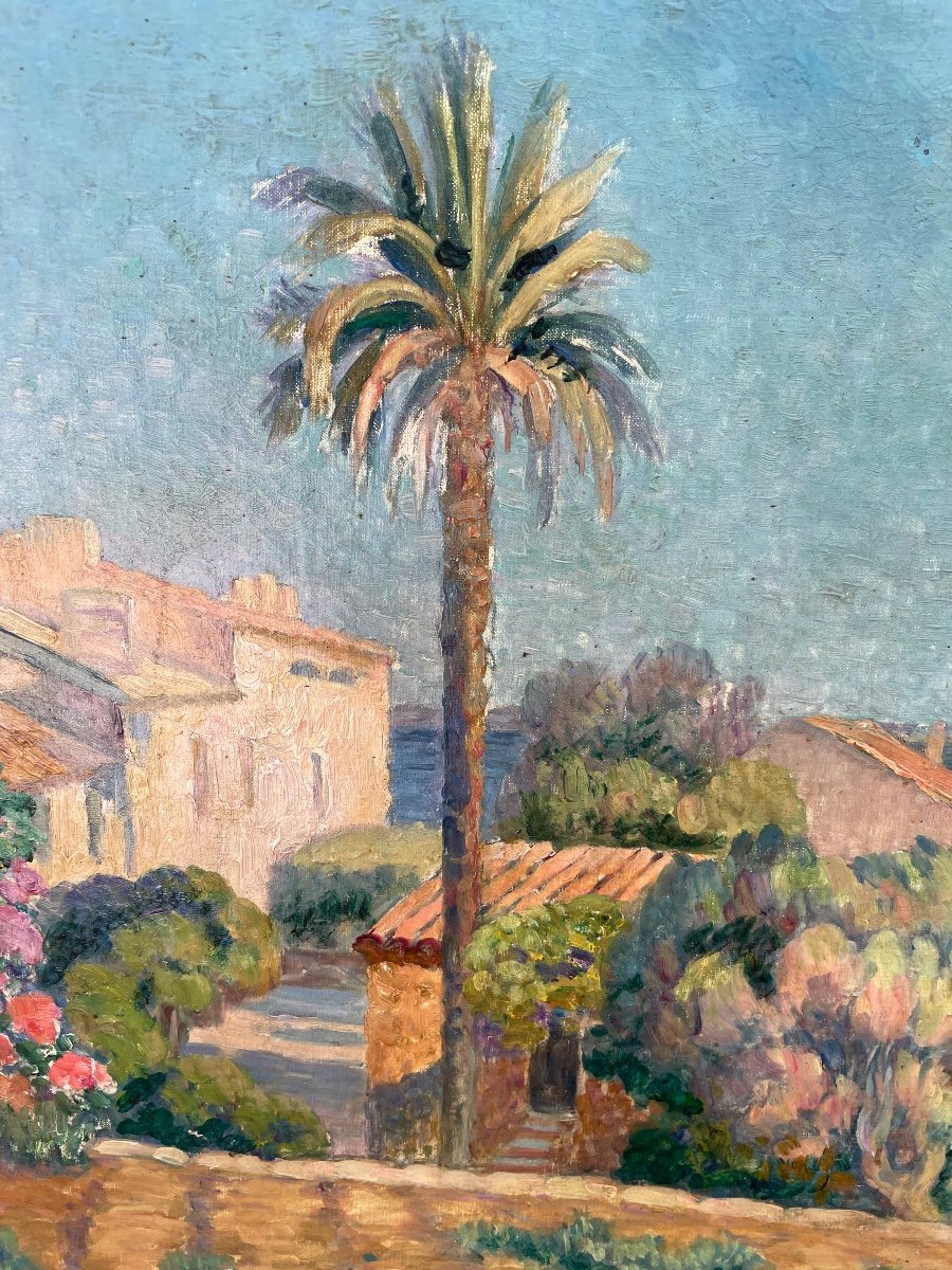 Paysage De Saint Tropez 