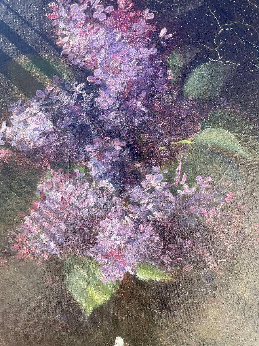 Bouquet De Lilas 