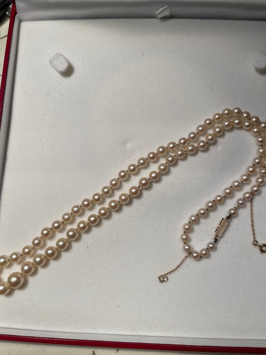 Cultured Pearl And Gold Necklace -photo-3