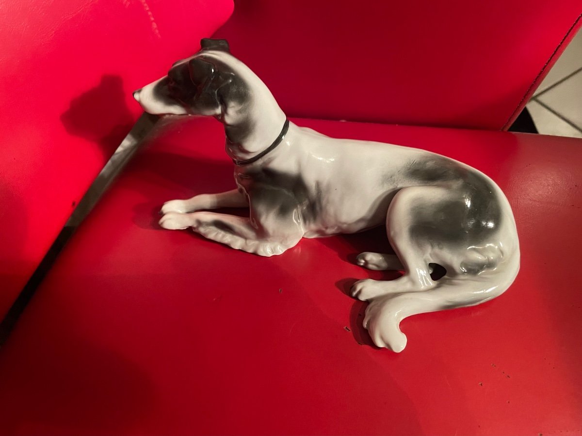 Porcelain Greyhound -photo-2