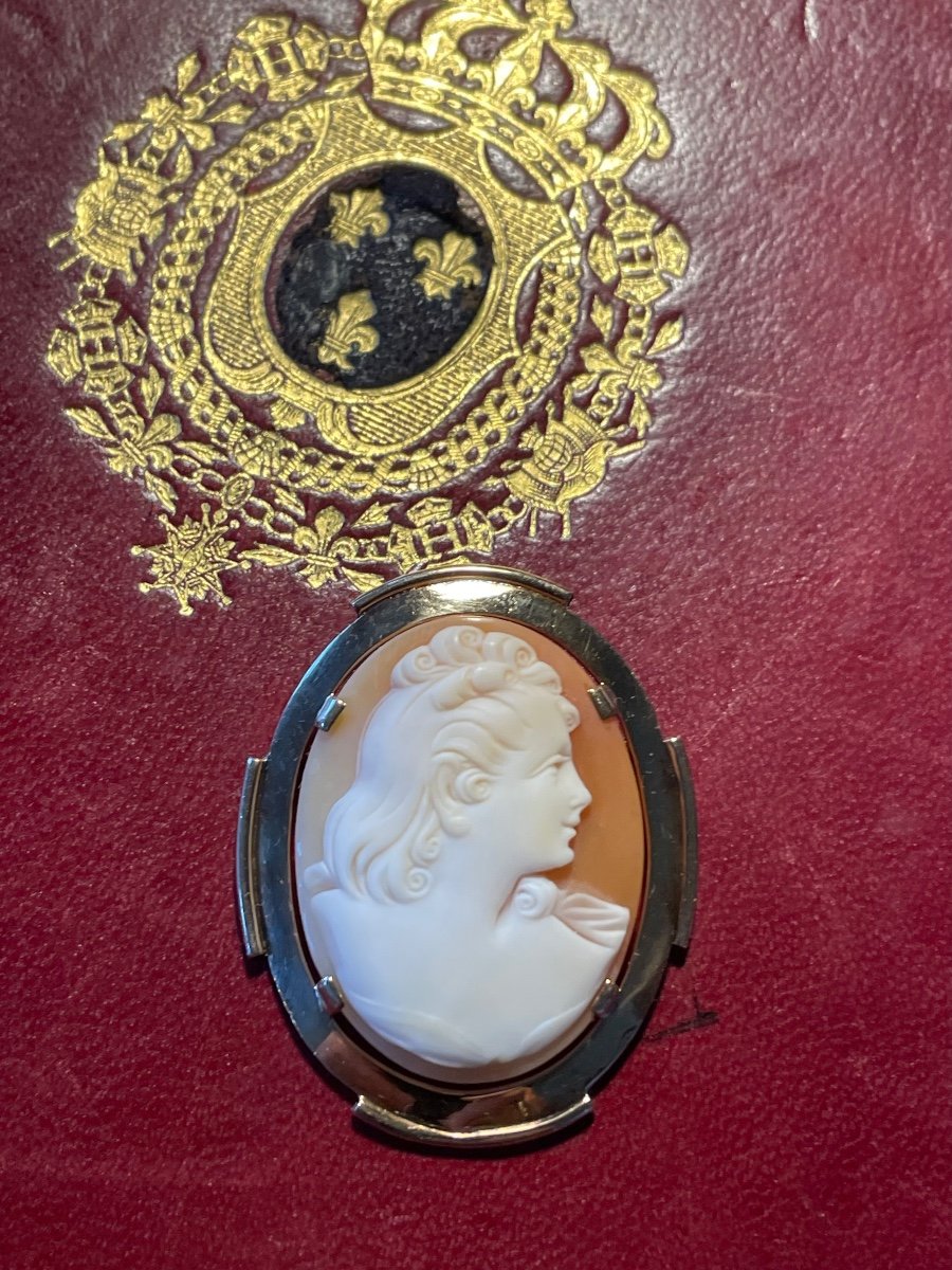 Gold Cameo Brooch -photo-4