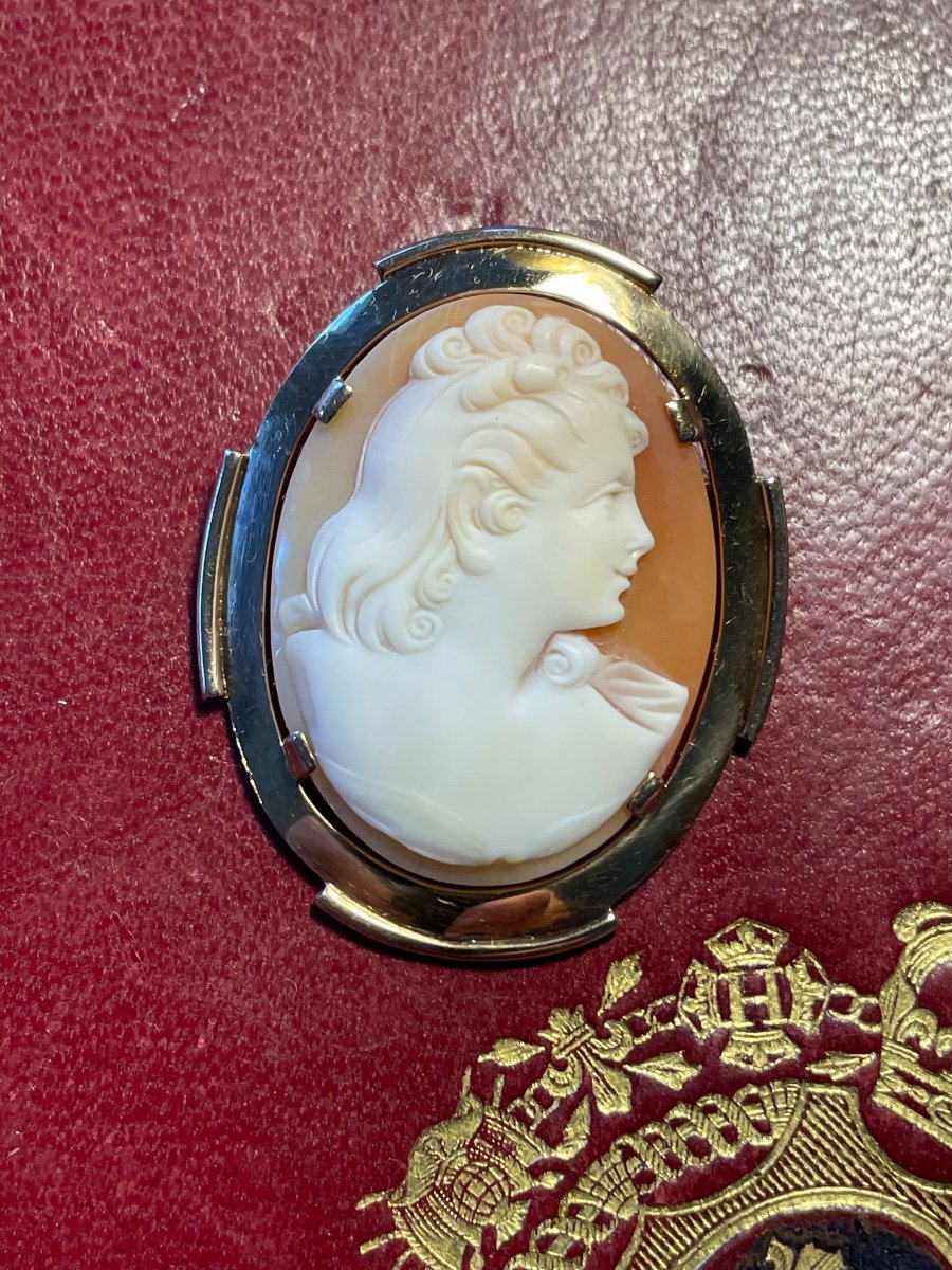 Gold Cameo Brooch -photo-5