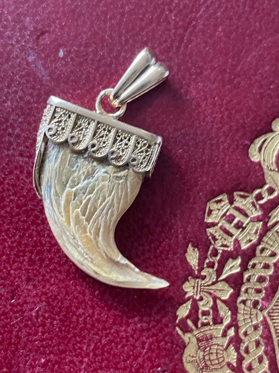 Gold And Tiger Claw Pendant 