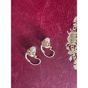 Paire De Boucles D’oreilles Or Et Perle 