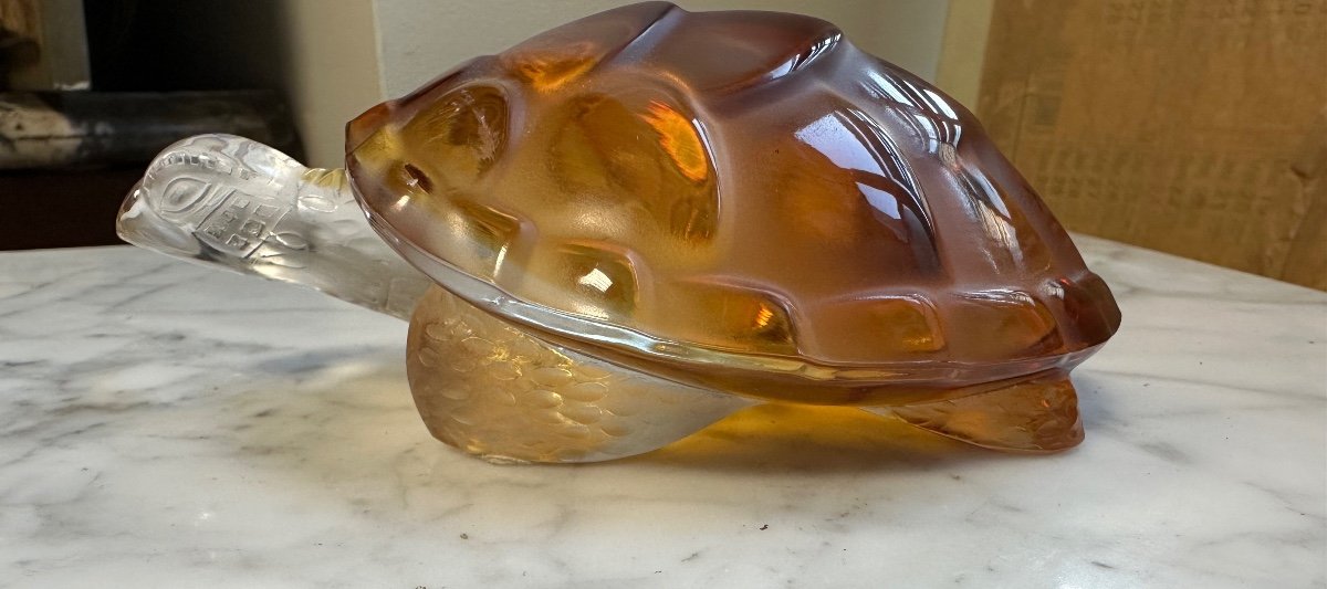 Tortue Cristal Lalique-photo-3