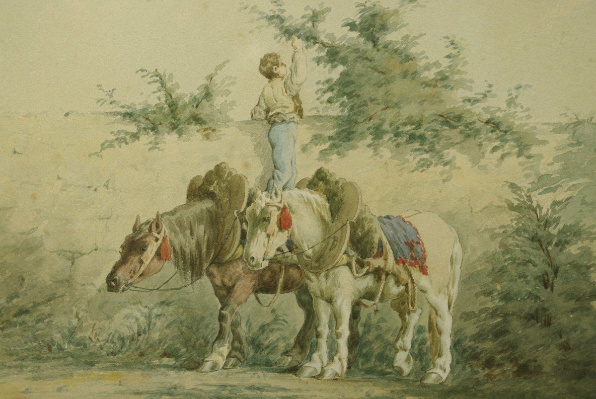 Watercolor 1880 By Emile Jolly Horses Percheron-photo-3
