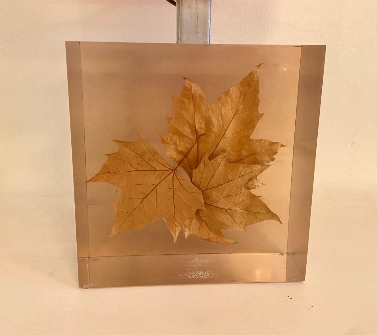 Lampe à inclusion de feuilles par Pierre Giraudon, vers 1970.-photo-4