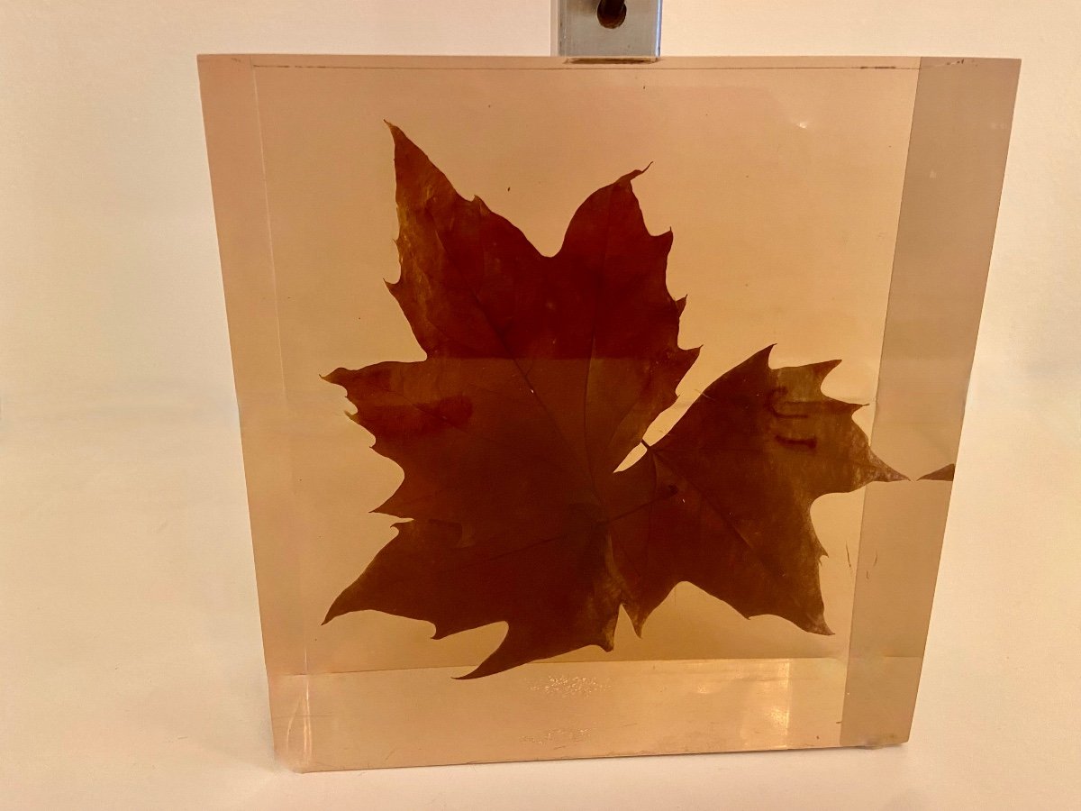 Lampe à inclusion de feuilles par Pierre Giraudon, vers 1970.-photo-4