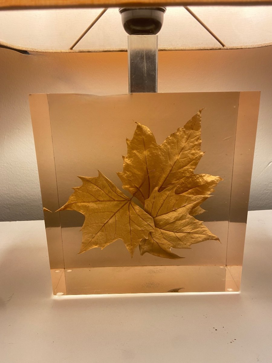 Lampe à inclusion de feuilles par Pierre Giraudon, vers 1970.-photo-8