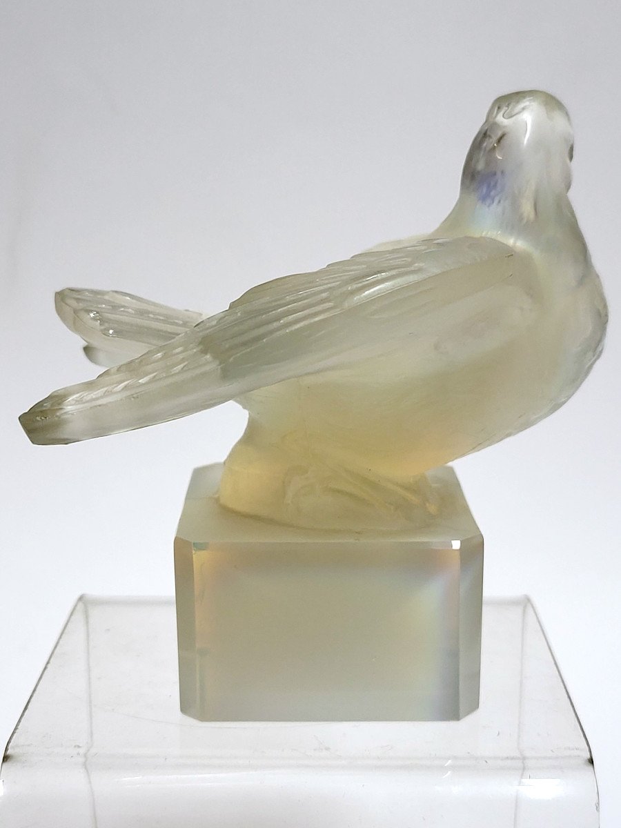 Verlys, Bird (pigeon) In Opalescent Glass.-photo-3