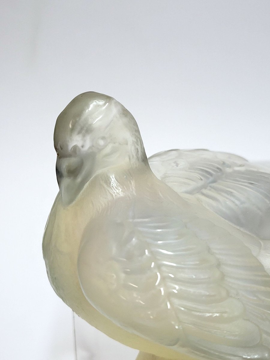 Verlys, Bird (pigeon) In Opalescent Glass.-photo-2