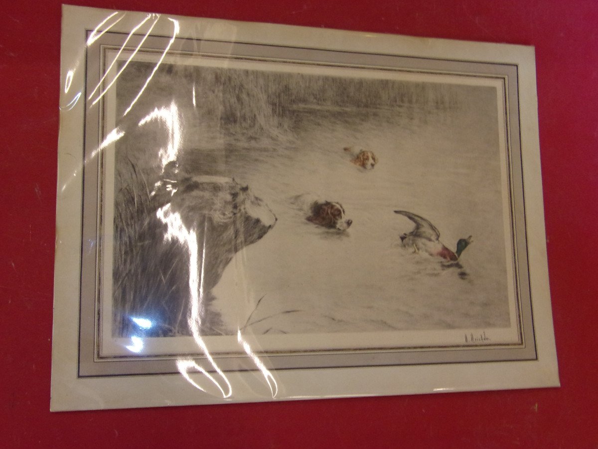 Setters Chasing A Duck, Hunting Scene, Lithograph From The Early 20th Century.-photo-3