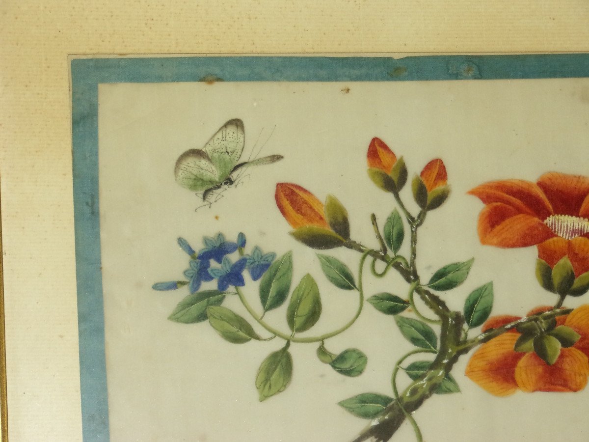 Butterfly And Flowers, Drawing On Rice Paper, 19th Century.-photo-3