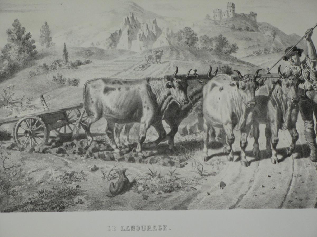 Landscape, "plowing", Lithograph 19th Time.-photo-4