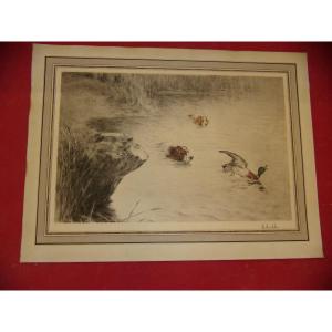 Setters Chasing A Duck, Hunting Scene, Lithograph From The Early 20th Century.