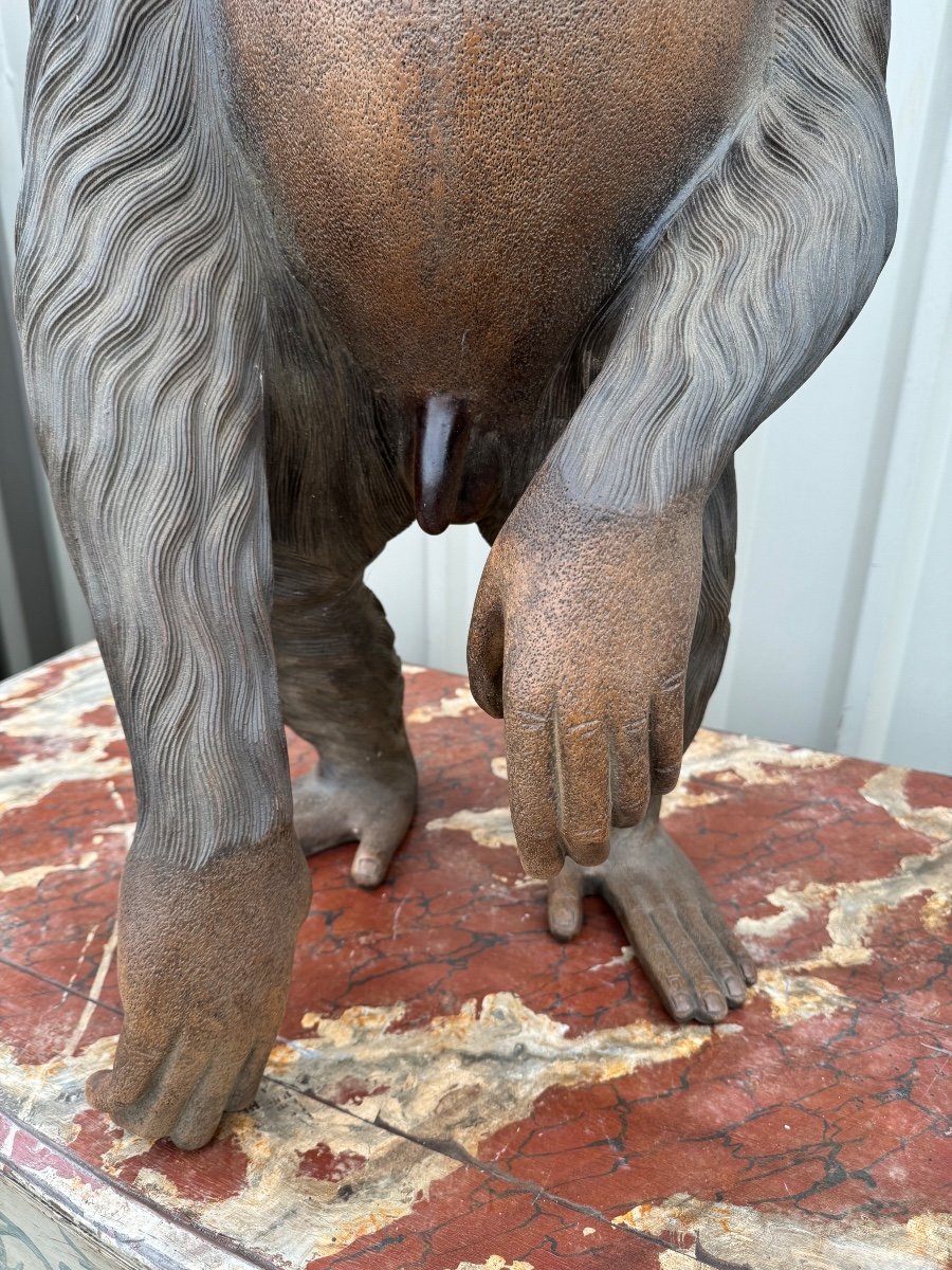 Life Size Chimpanzee Wooden Sculpture Sulphide Eyes -photo-2