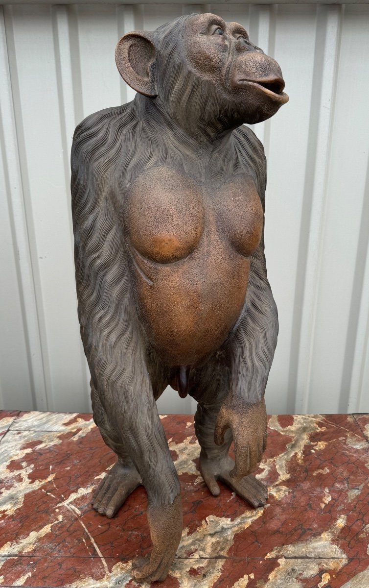 Sculpture En Bois Chimpanzé Grandeur Nature Yeux En Sulfure 